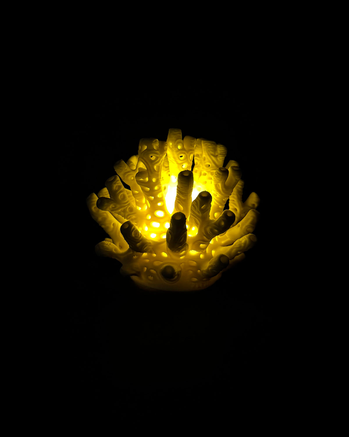 Lumorna Instant de Lumière | Le Corail