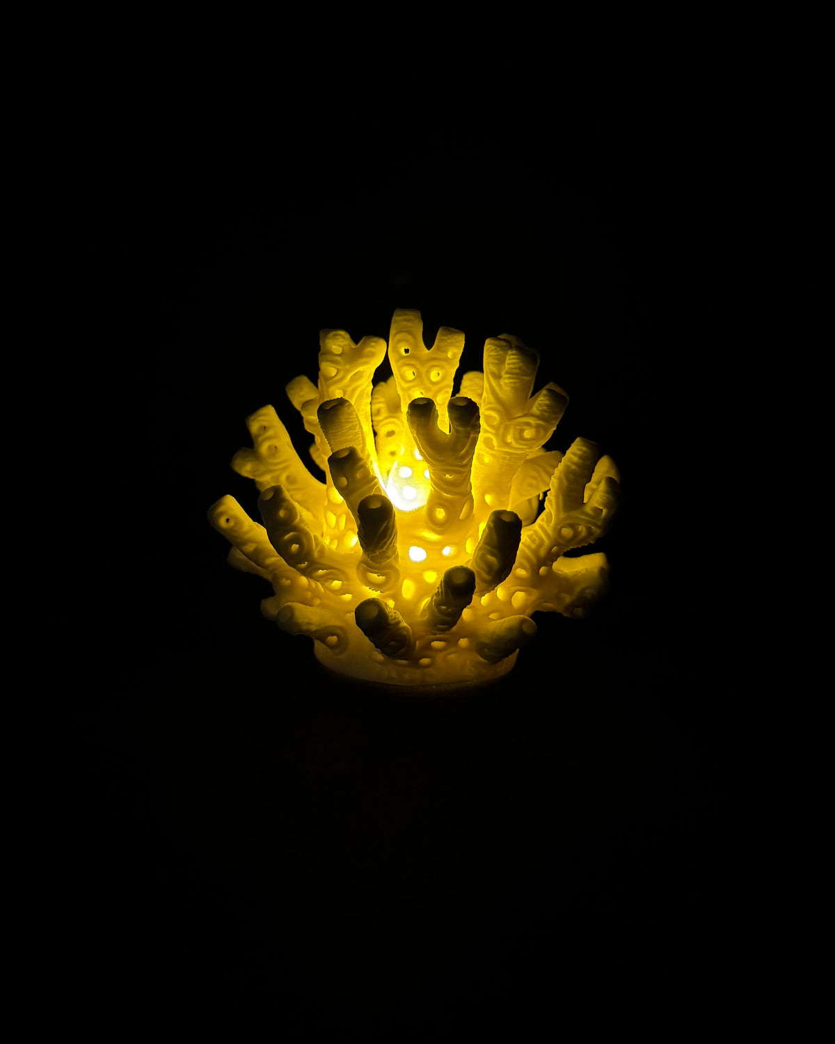 Lumorna Instant de Lumière | Le Corail