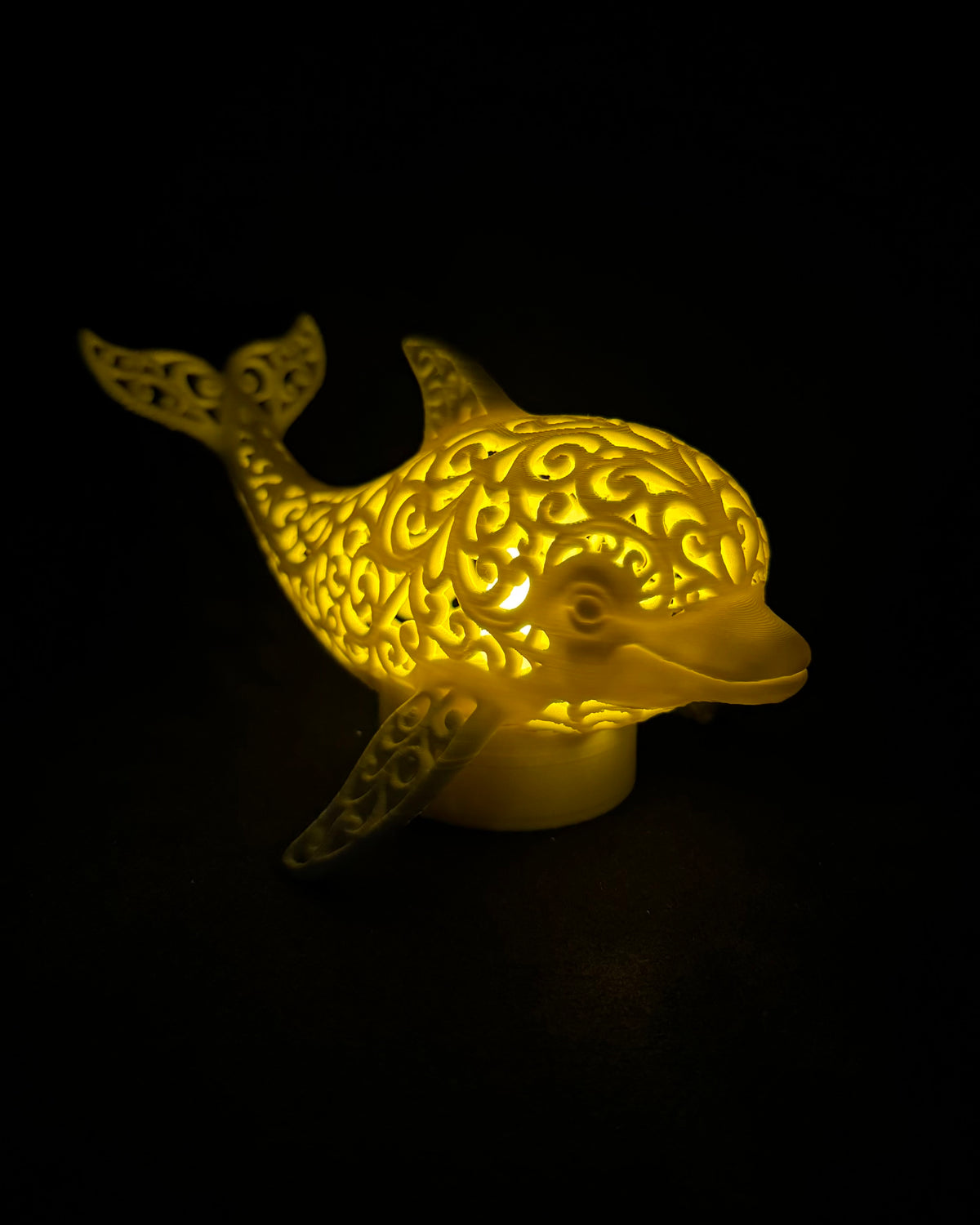 Lumorna l'Instant de Lumière | Le Dauphin