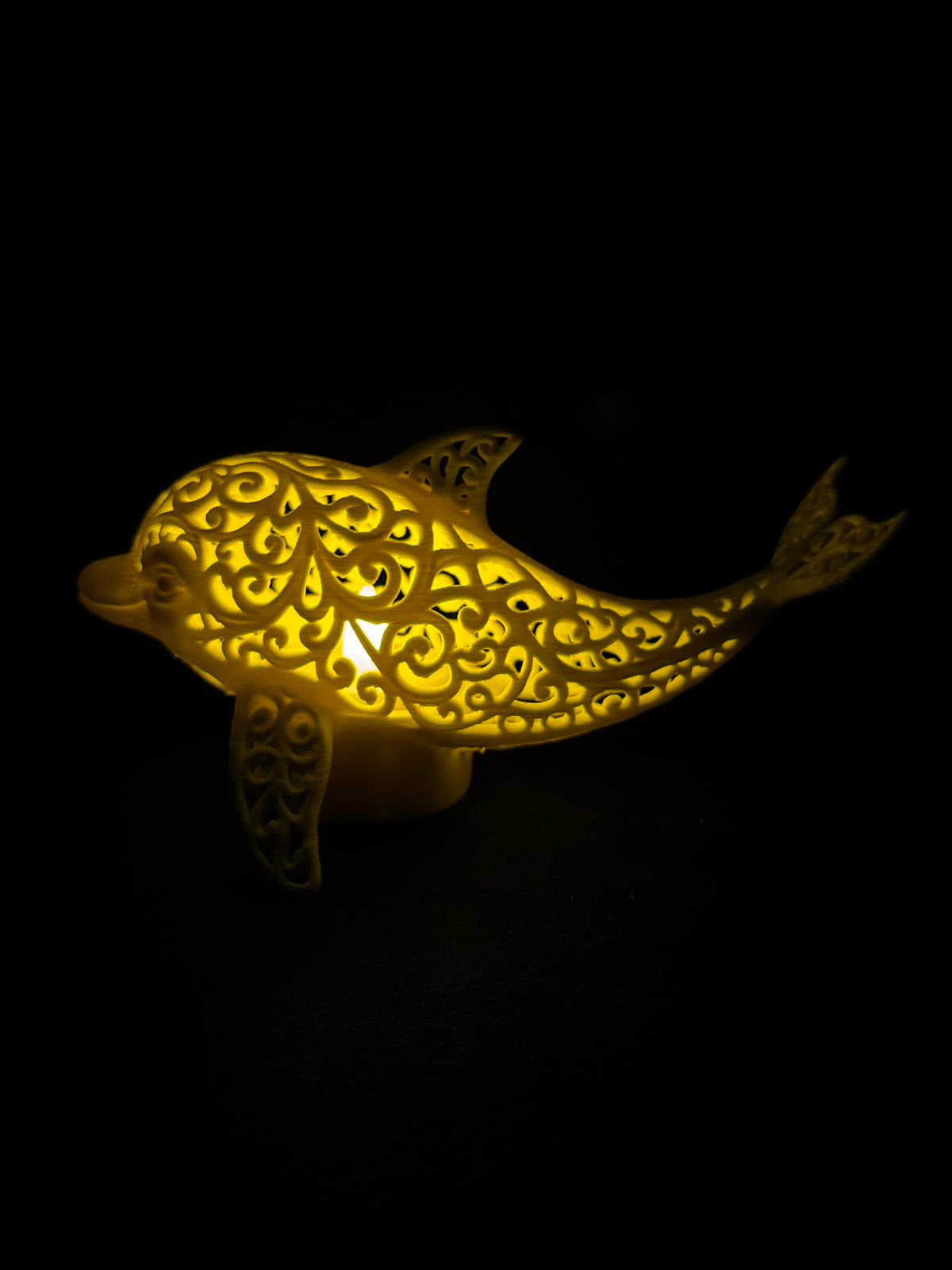 Lumorna l'Instant de Lumière | Le Dauphin