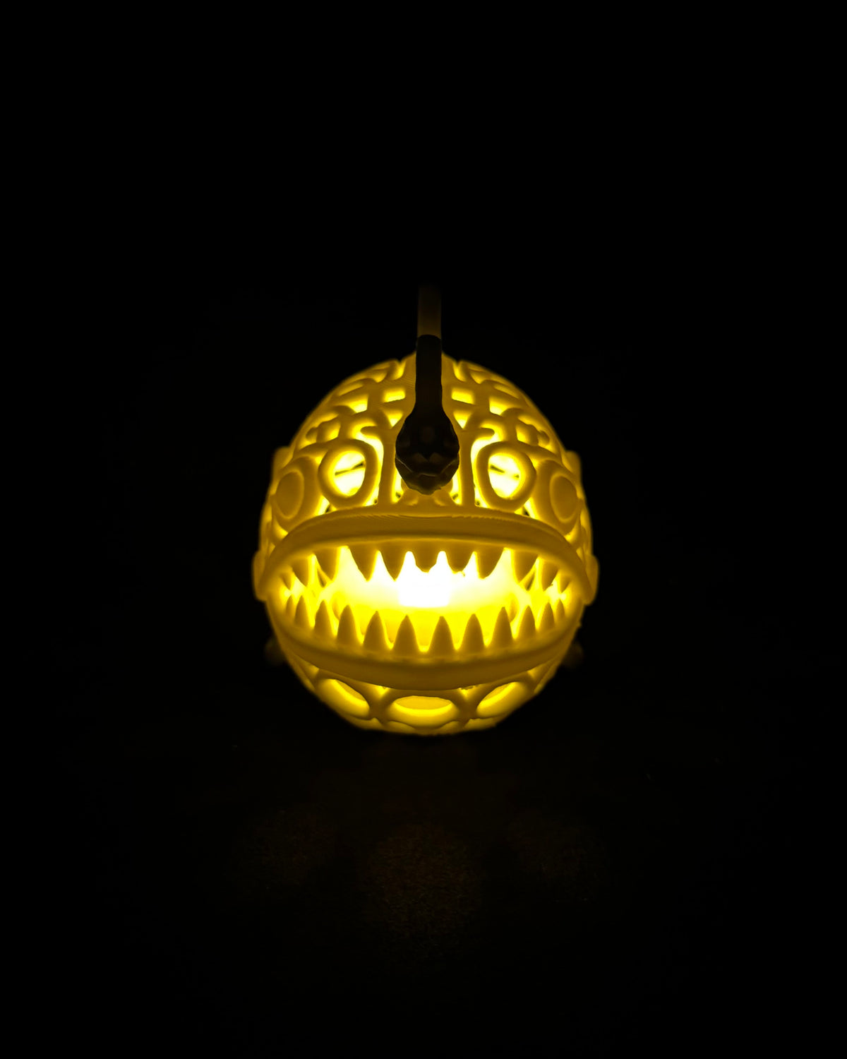 Lumorna Instant de lumière | La Baudroie