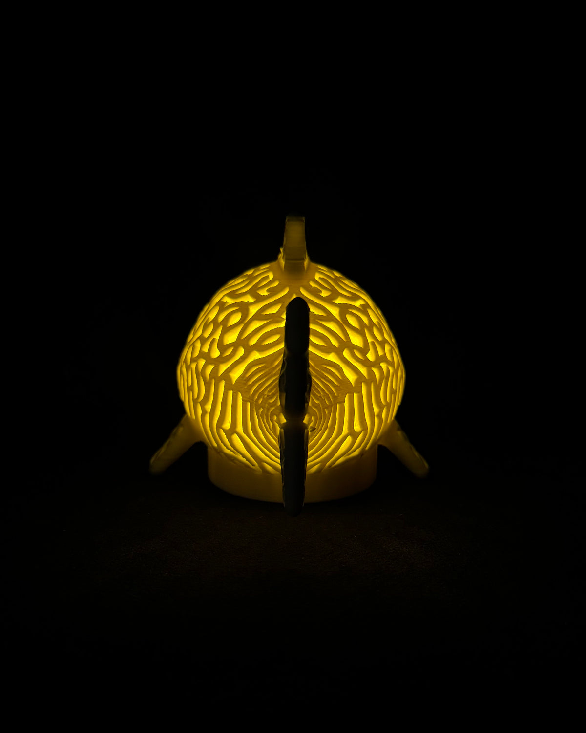 Lumorna Instant Lumière | Le requin
