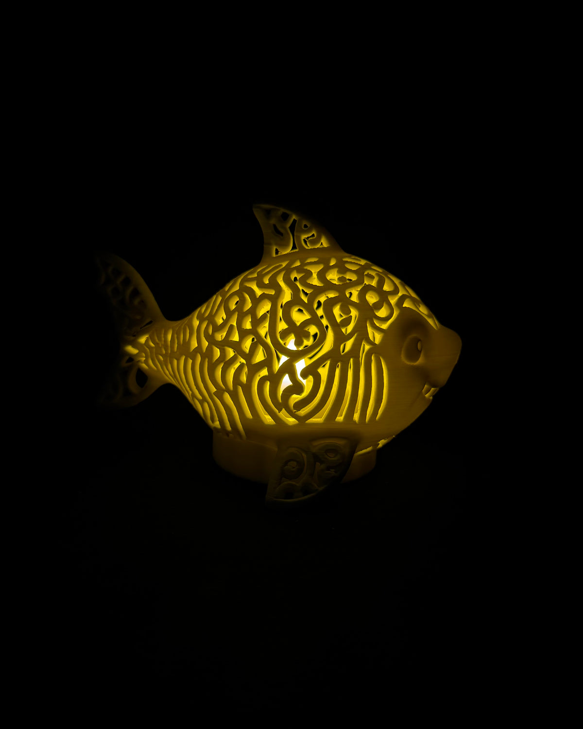 Lumorna Instant Lumière | Le requin