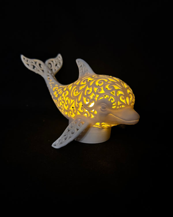 Lumorna l'Instant de Lumière | Le Dauphin