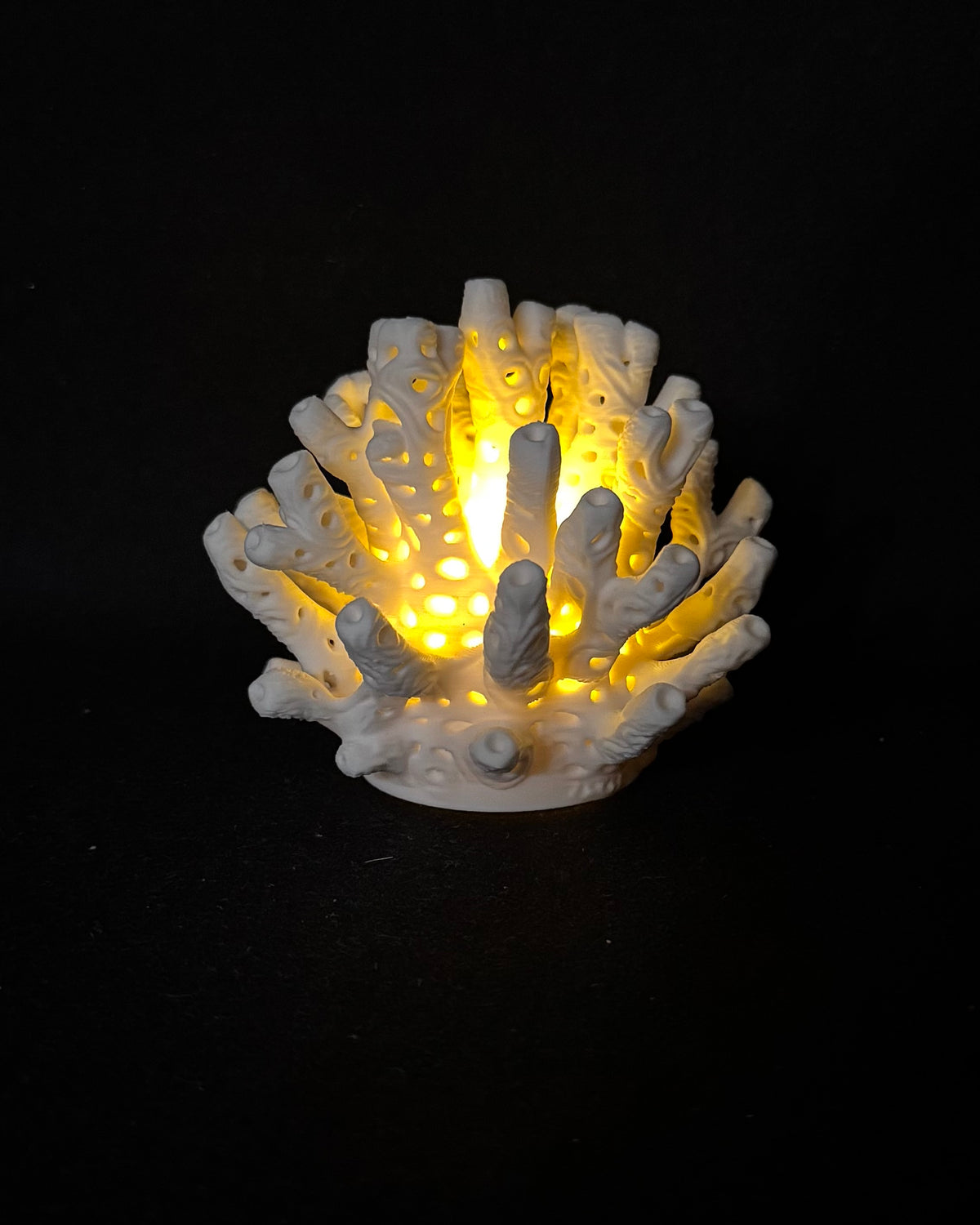 Lumorna Instant de Lumière | Le Corail