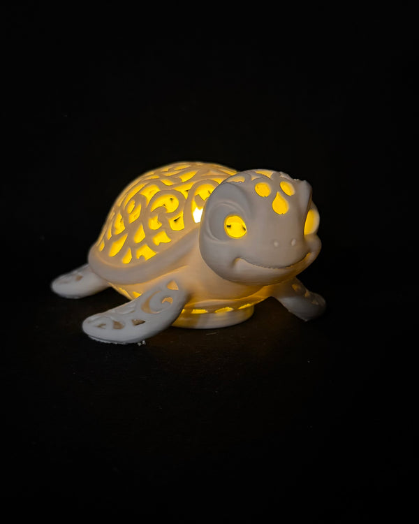 Lumorna Lichtmoment | La tortue aquatique